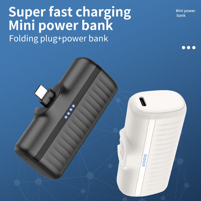 Mini Type C Portable Power Bank Quick Charging 5000mah Power Bank Customized