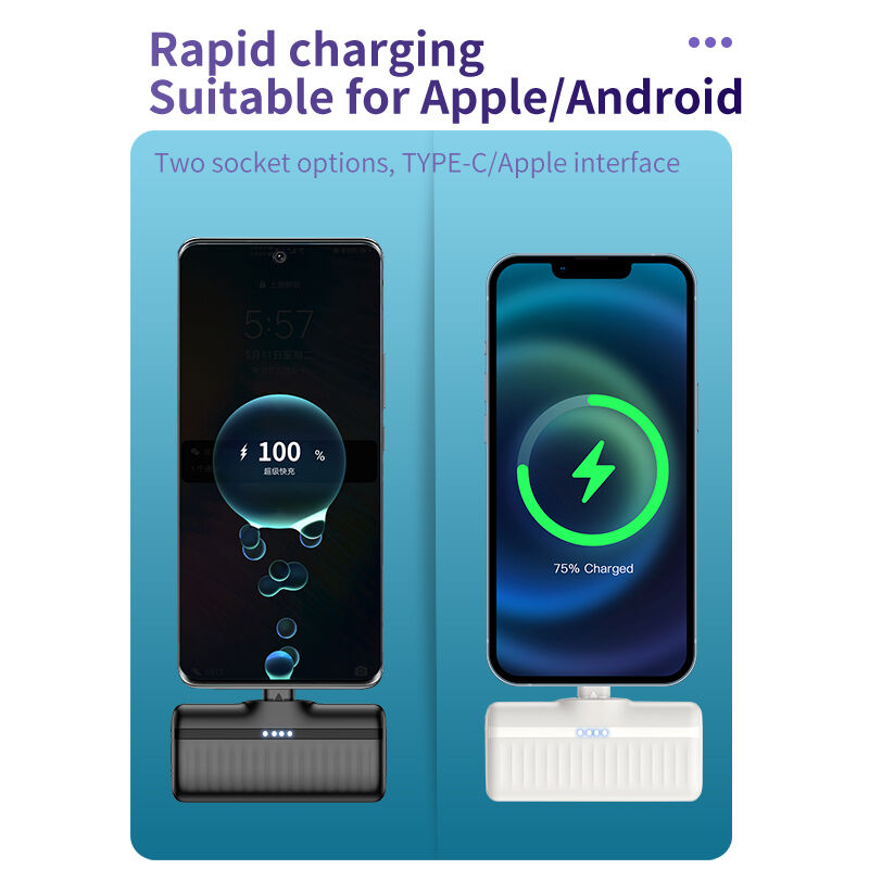 Mini Type C Portable Power Bank Quick Charging 5000mah Power Bank Customized