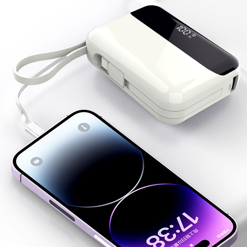 10000mAh 22.5W 3 In 1 Power Bank Li Polymer Battery For Mini PCs And Mobile Device