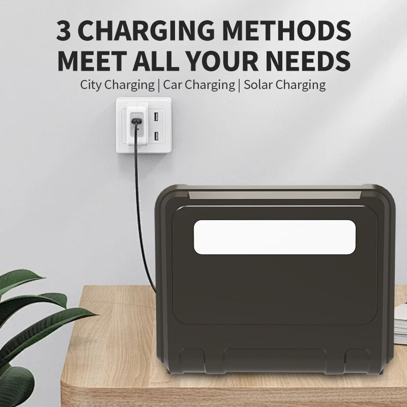 295Wh 300W Portable Power Station MPPT Pure Sine Wave Inverter Portable Solar Generator