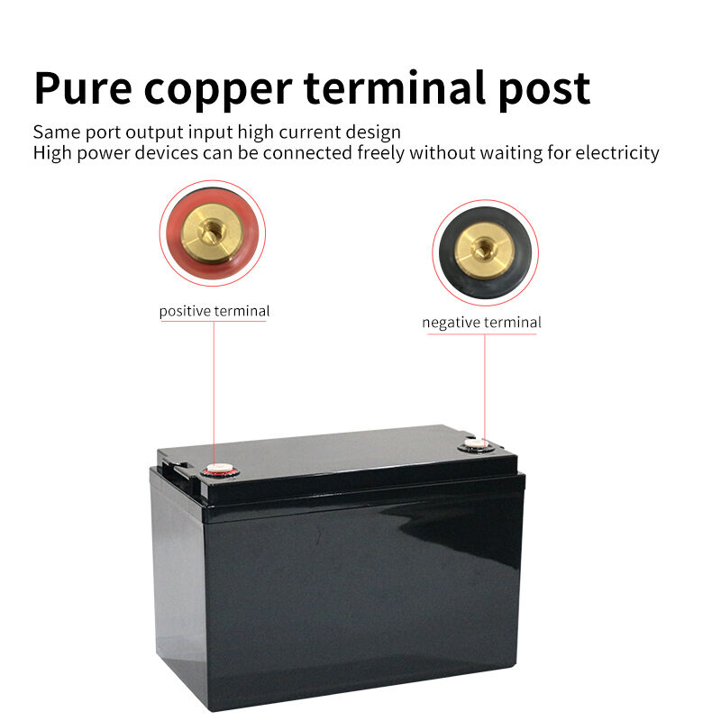 6000 Cycles Lithium Ion Battery Pack 12.8V 100Ah Rechargeable LiFePO4 Battery Pack For Home Use