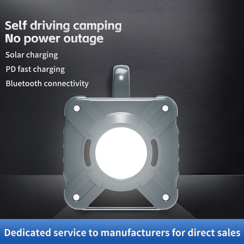 300W Portable Power Station with 600W Peak Power and 195Wh Battery Capacity for Reliable Energy Storage with Karaoke