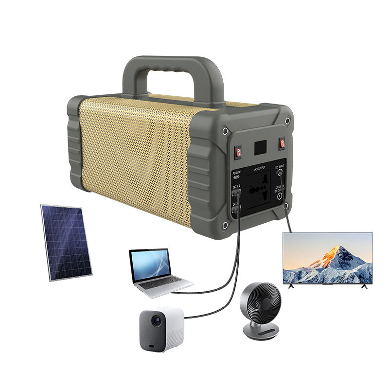300W Portable Power Station with AC Output 220V/110V USB Output QC18W and TYPE-C Output PD18W